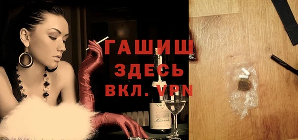 индика Дмитриев