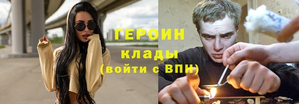 индика Дмитриев