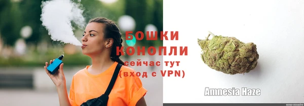 индика Дмитриев