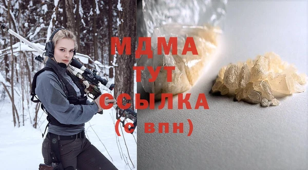 индика Дмитриев