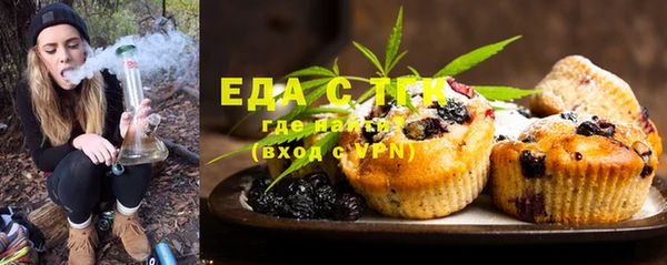 индика Дмитриев